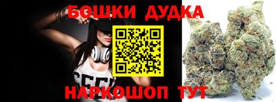 apvp Лесосибирск