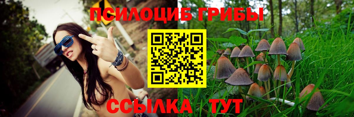 Галлюциногенные грибы GOLDEN TEACHER  Вход с VPN  закладка  Псилоцибиновые грибы Psilocybe  Шали 